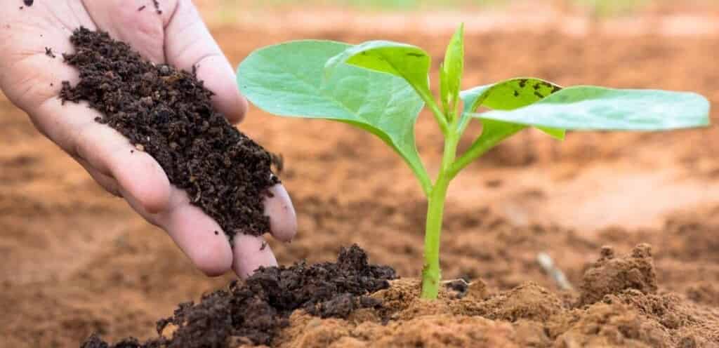 وادي كوم أمبو تعلن نتيجة جلستي مزاد بيع أراضٍ بمنطقتي كوم أمبو وغرب الدلتا